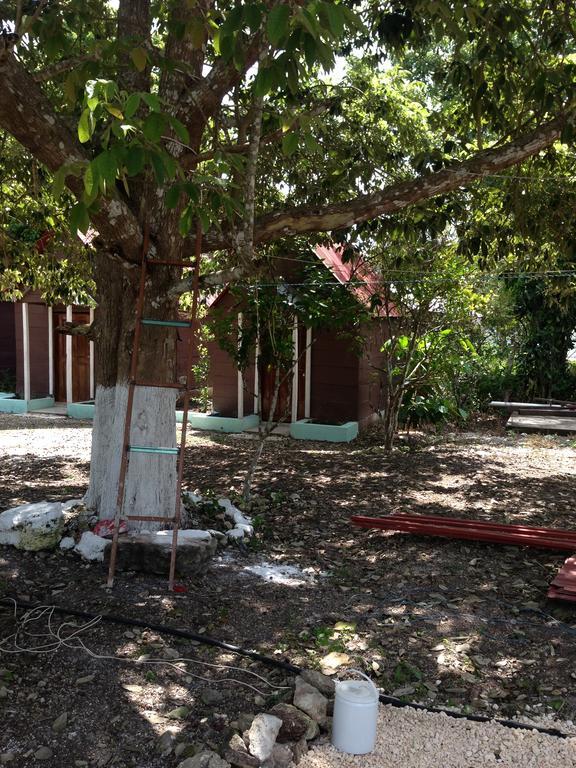 Cabanas Chaac Calakmul Xpujil Kültér fotó
