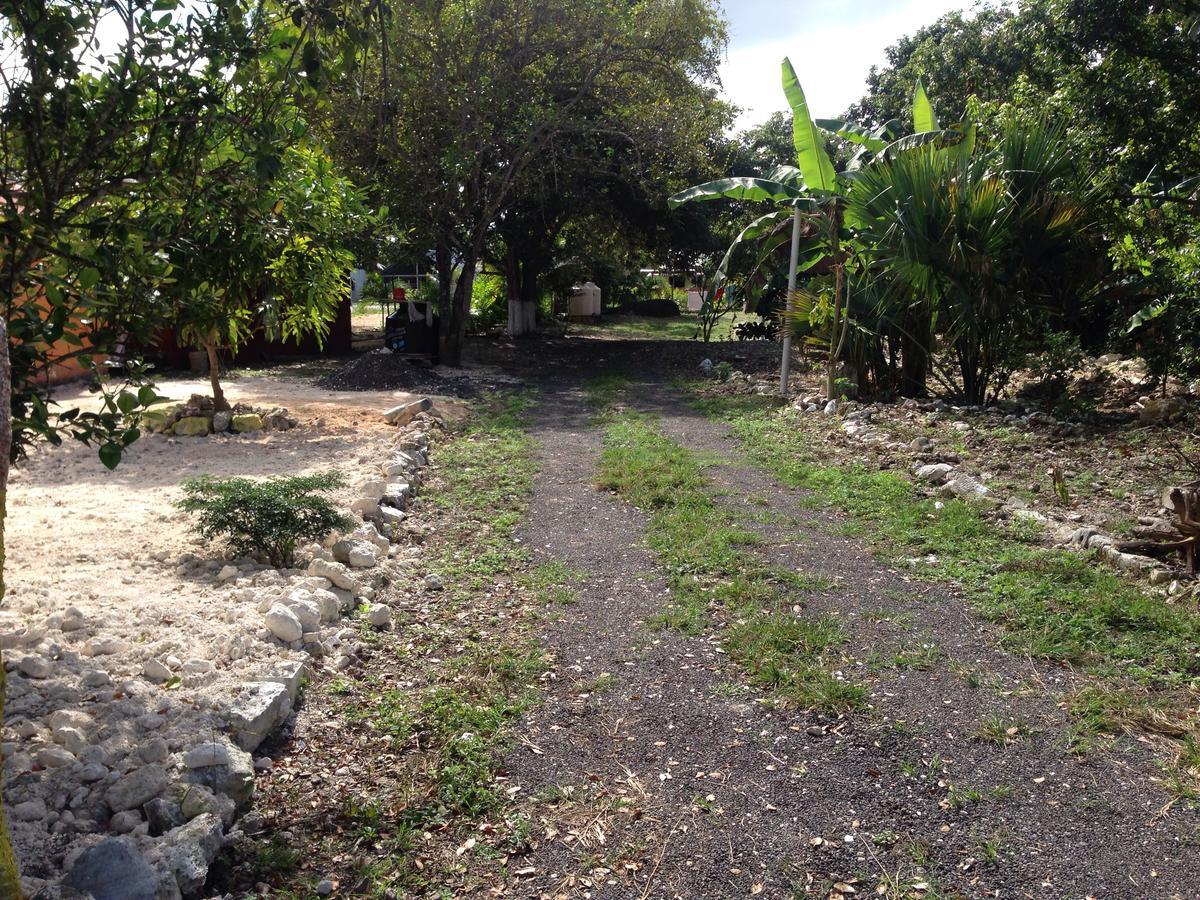 Cabanas Chaac Calakmul Xpujil Kültér fotó