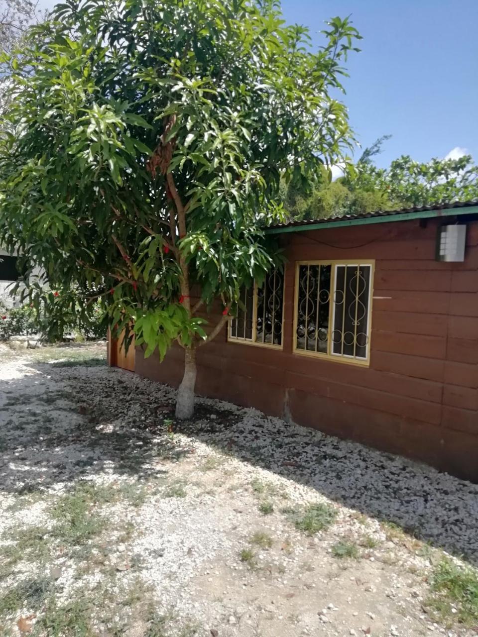 Cabanas Chaac Calakmul Xpujil Kültér fotó