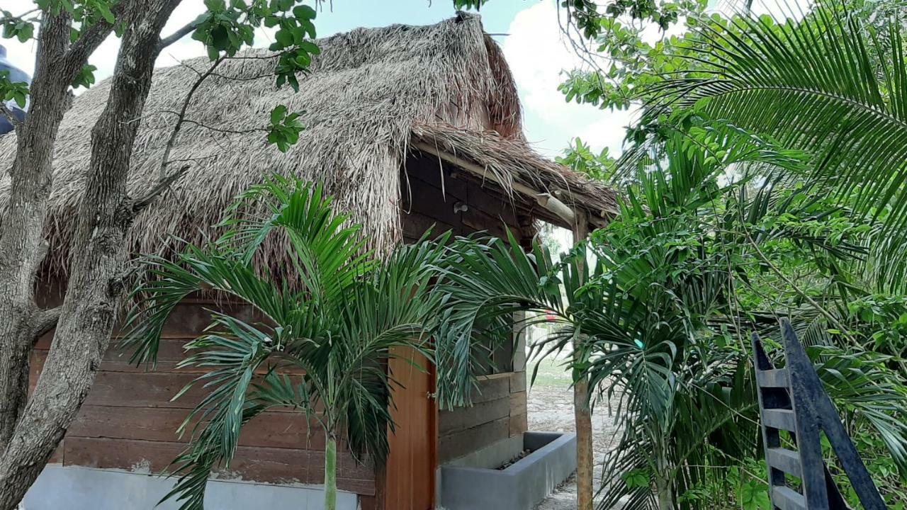Cabanas Chaac Calakmul Xpujil Kültér fotó